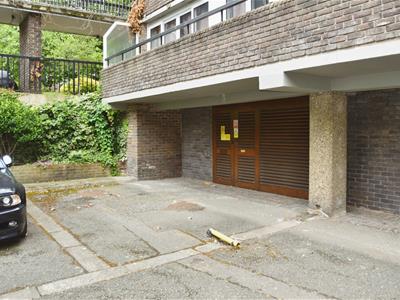 Picture 9